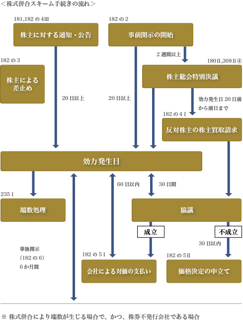 株式併合スキームの手続の流れ